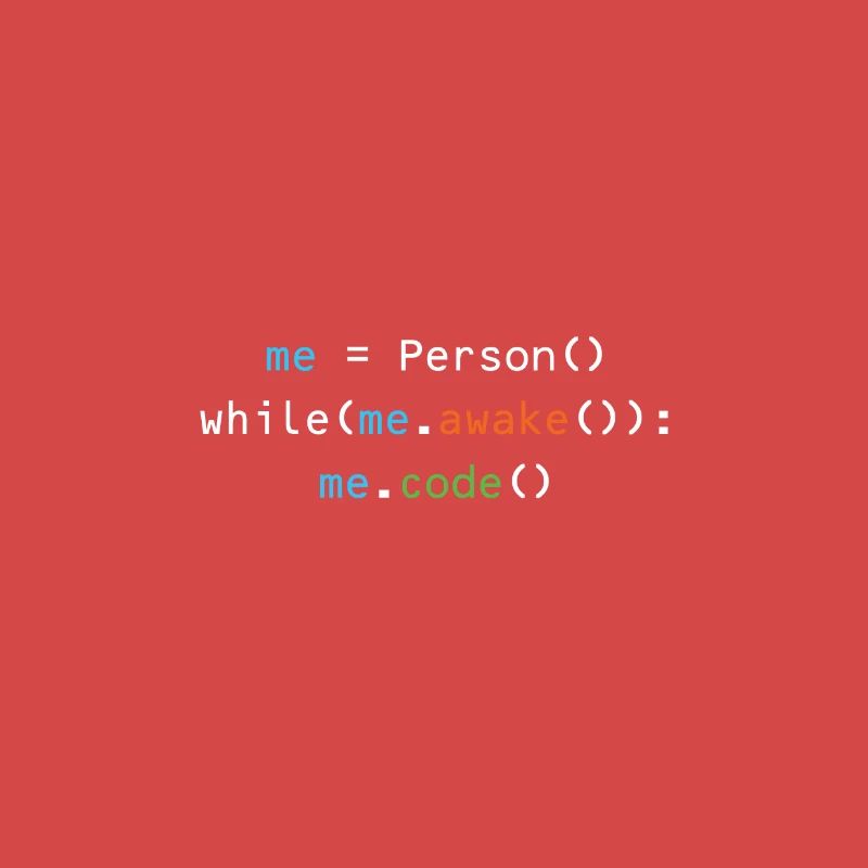 Programmierer
