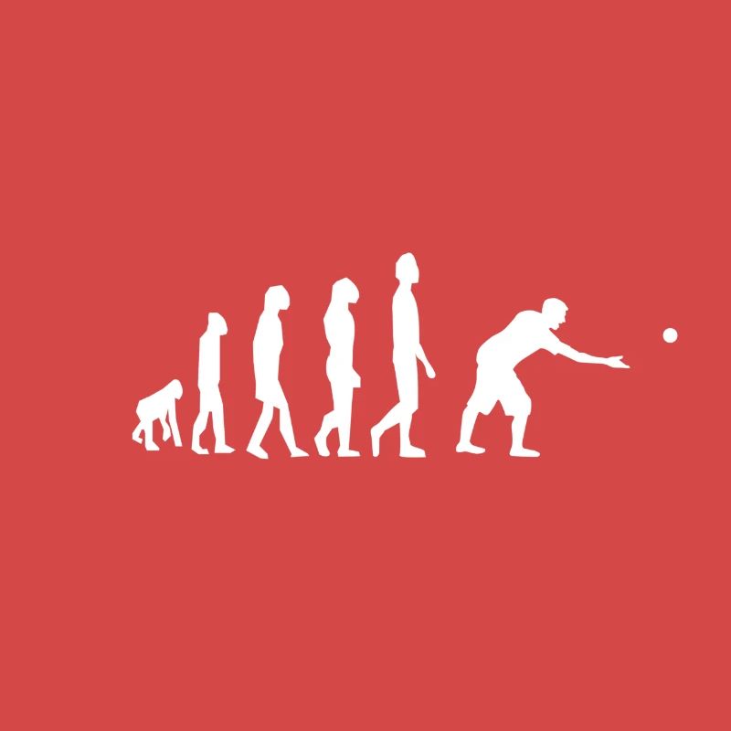 Boules Boccia Petanque Evolution