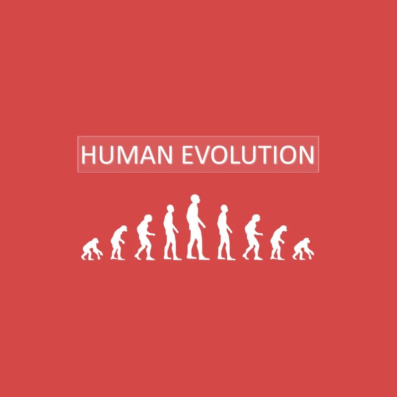 Évolution humaine drôle
