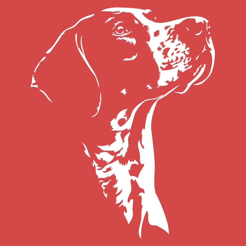 Chiens de chasse à silhouette pointer anglais Wilsigns