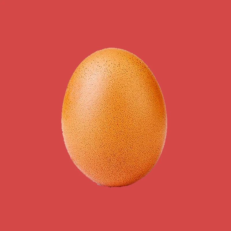 egg