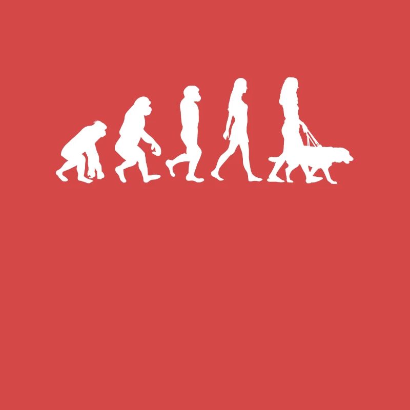Chien chien evolution