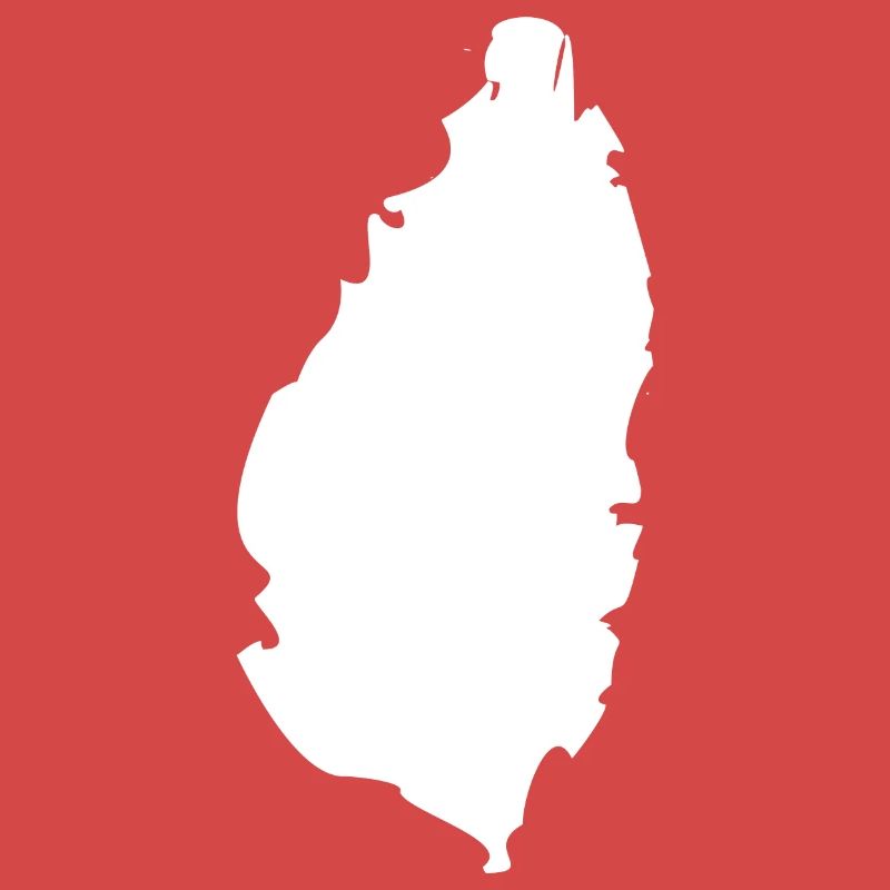 Saint Lucia map flag