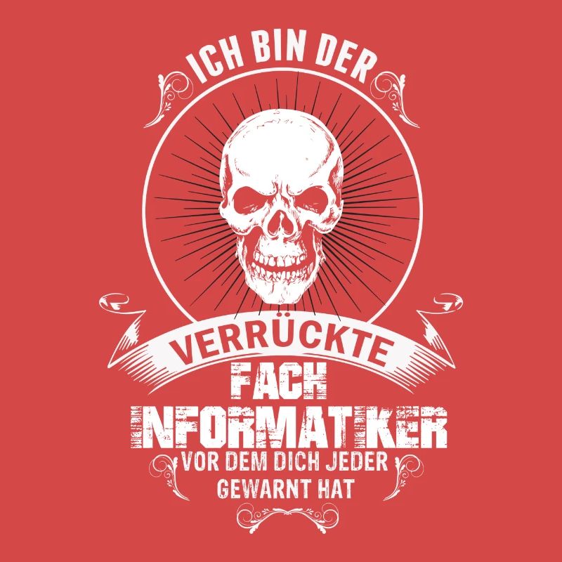 Fach Informatiker