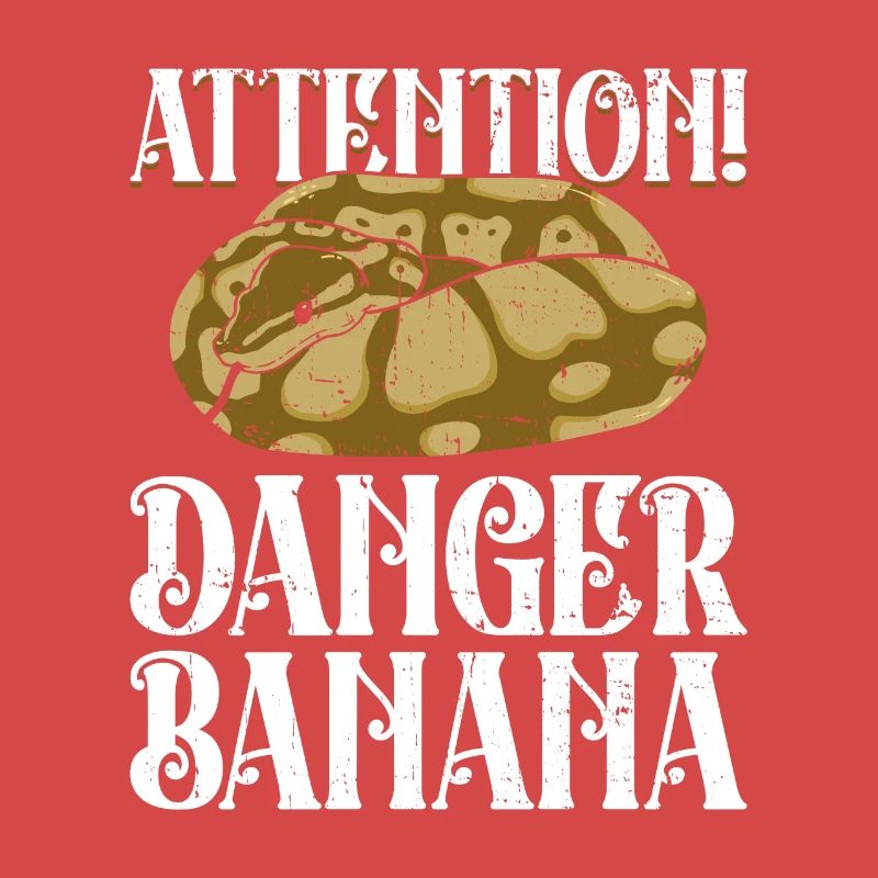 Königspython Banana Königspython Schlange