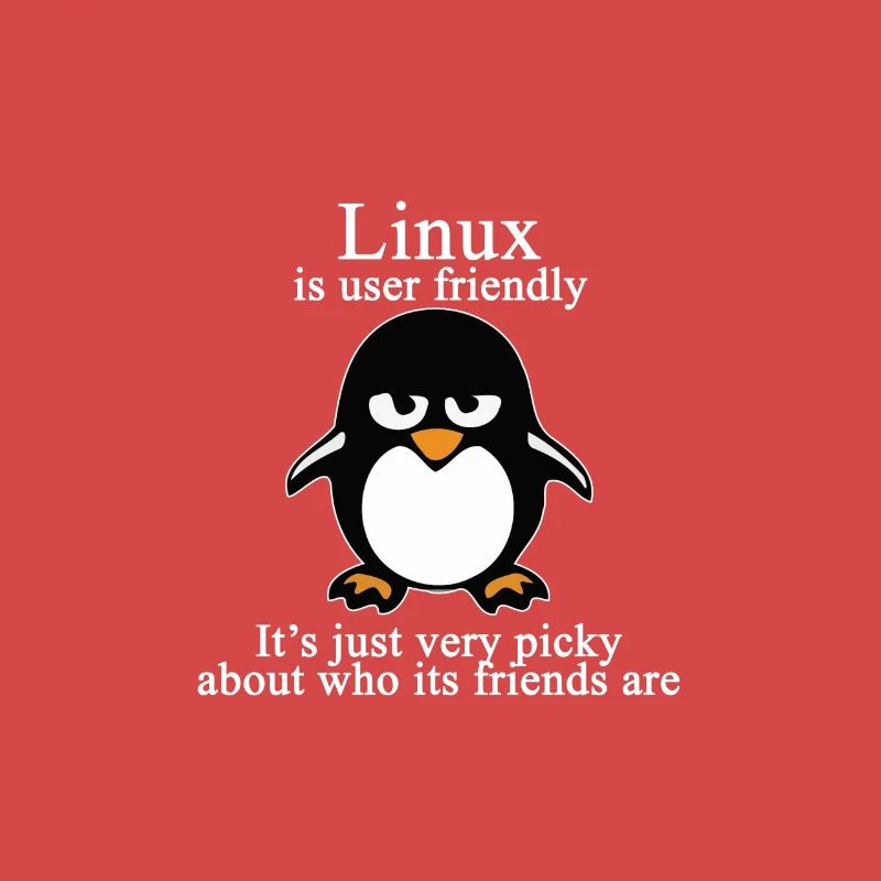 Programming Computer Science Gift · Friendly