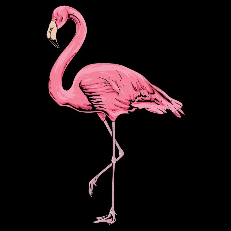 flamingo