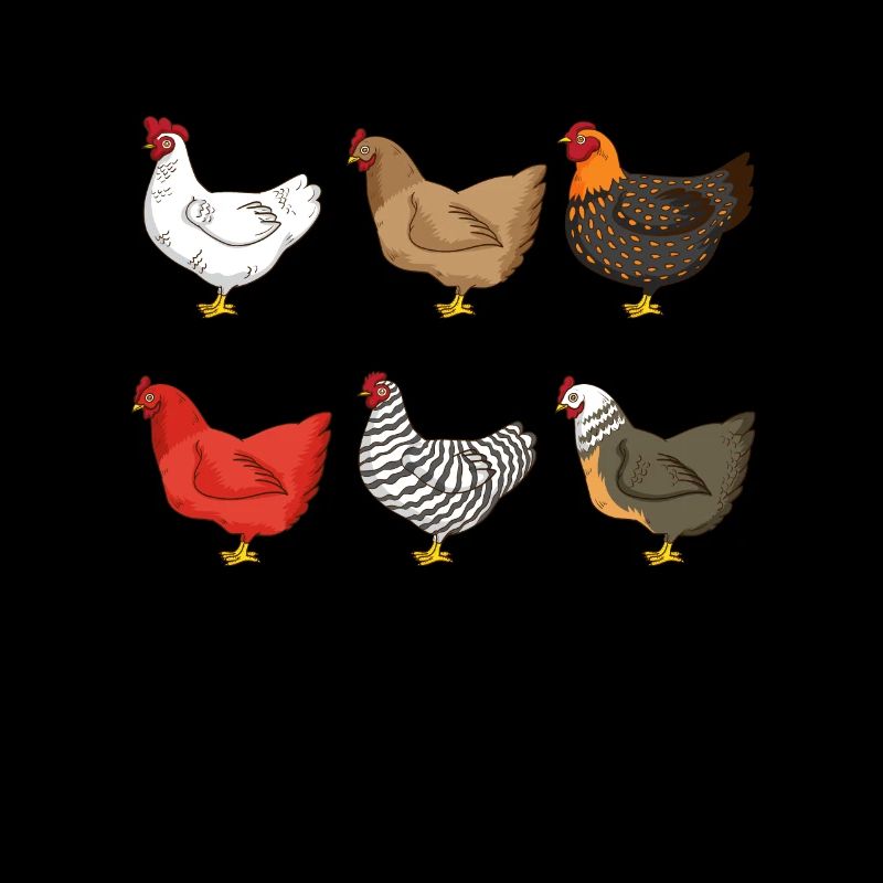 Éleveurs de poulets Volaille de ferme Poulets Poulets
