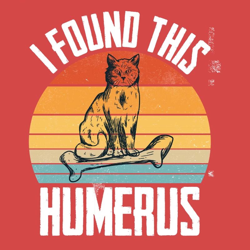 House Tiger Cat Upper Arm Bone Pet Humerus