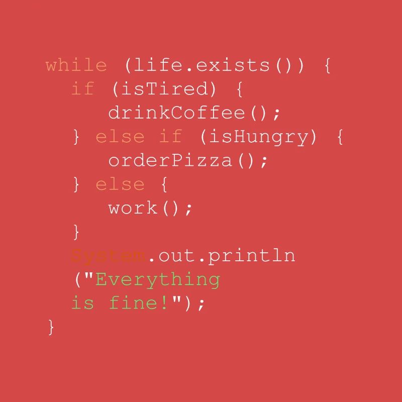 Programming, programmer and program code