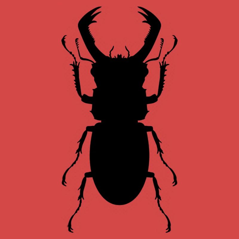 Stag beetle kite