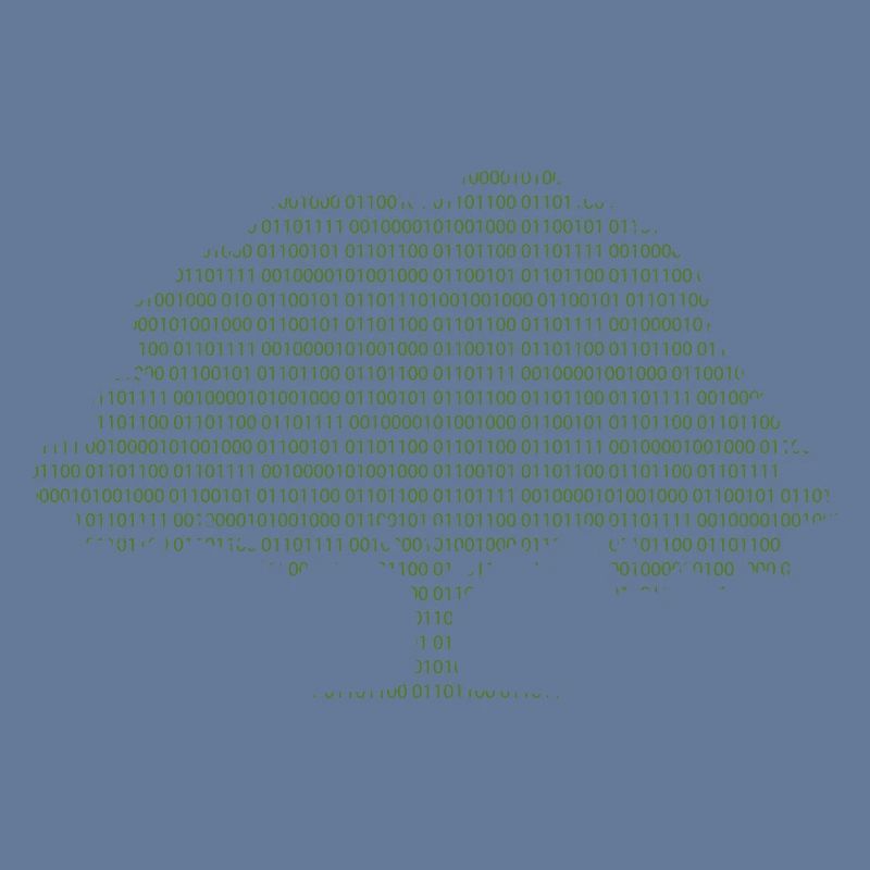 Binary Tree Admin Hacker Coder Programmierer