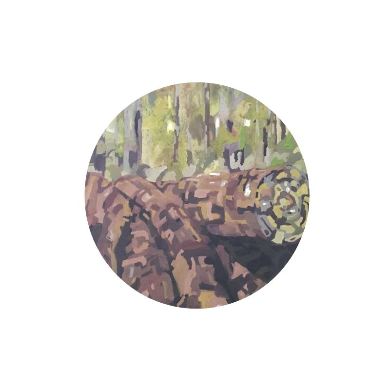Baumstämme im Wald – eine impressionistische Landschaft