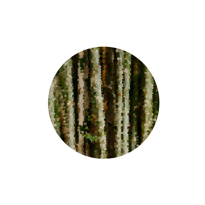 Birch Forest Pixel Stripes