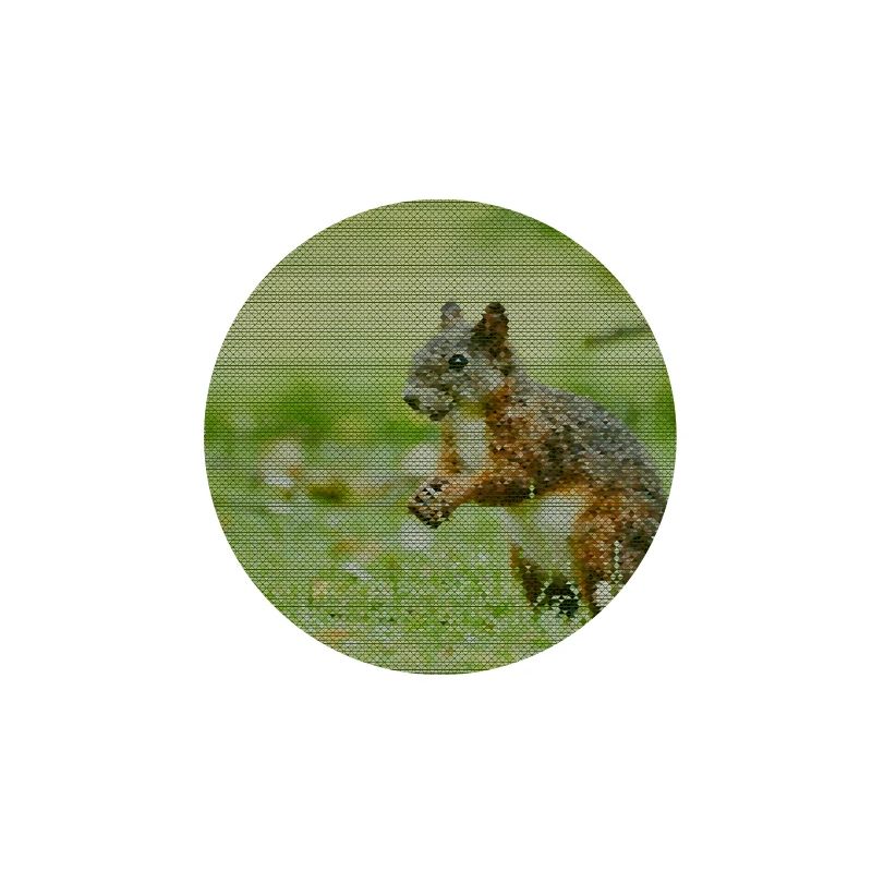 Squirrel Forest Pattern