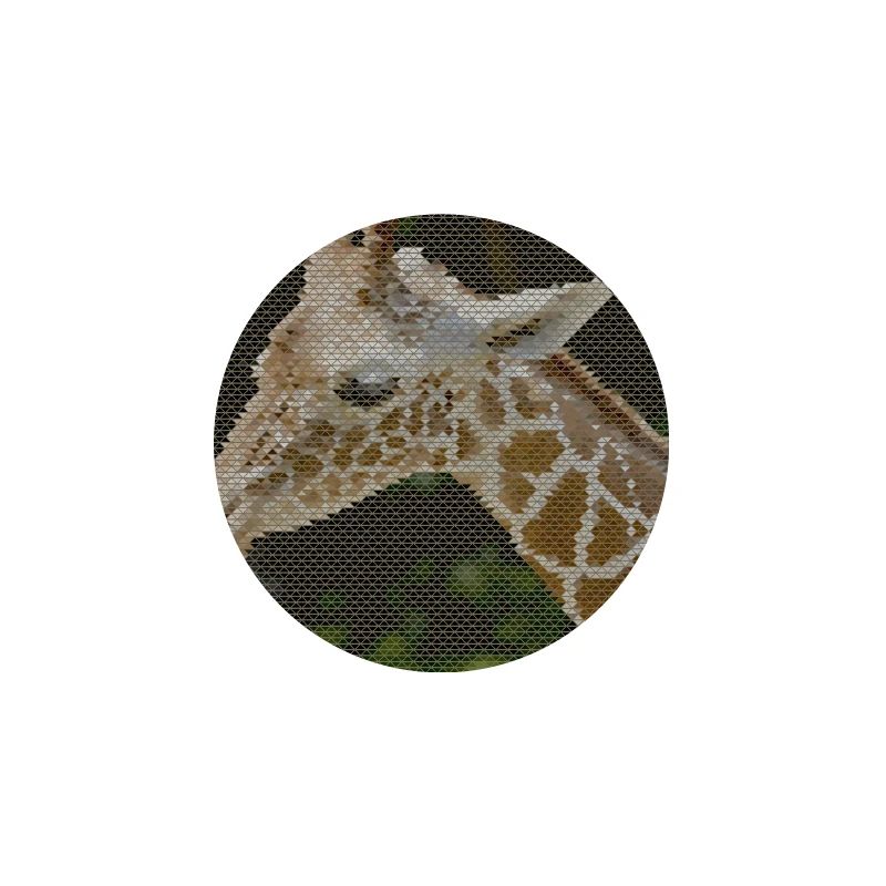 Giraffe with triangle pattern