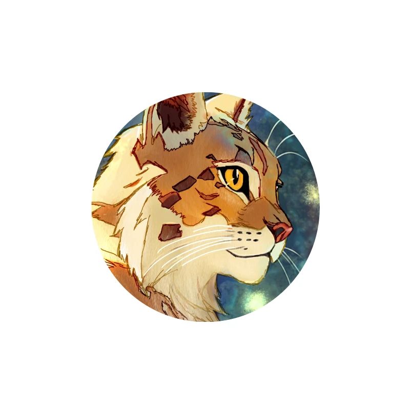 Luchs im Profil