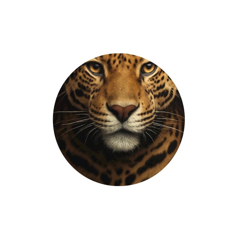 Datenanalyse-Illustration mit Leopard