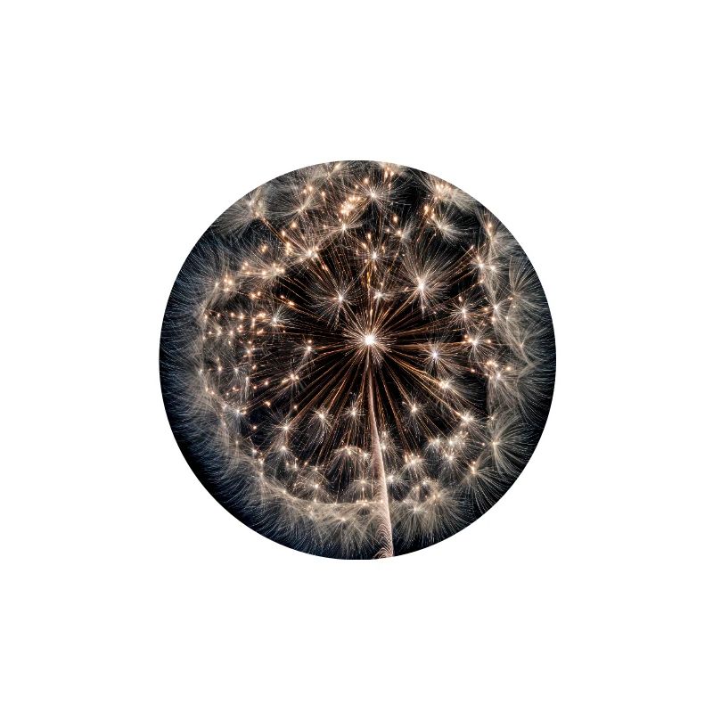 Luminous Dandelion Firework