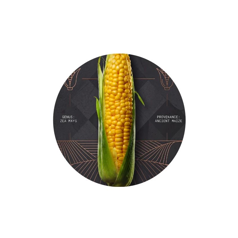 Kernel Essence: Origin & Form