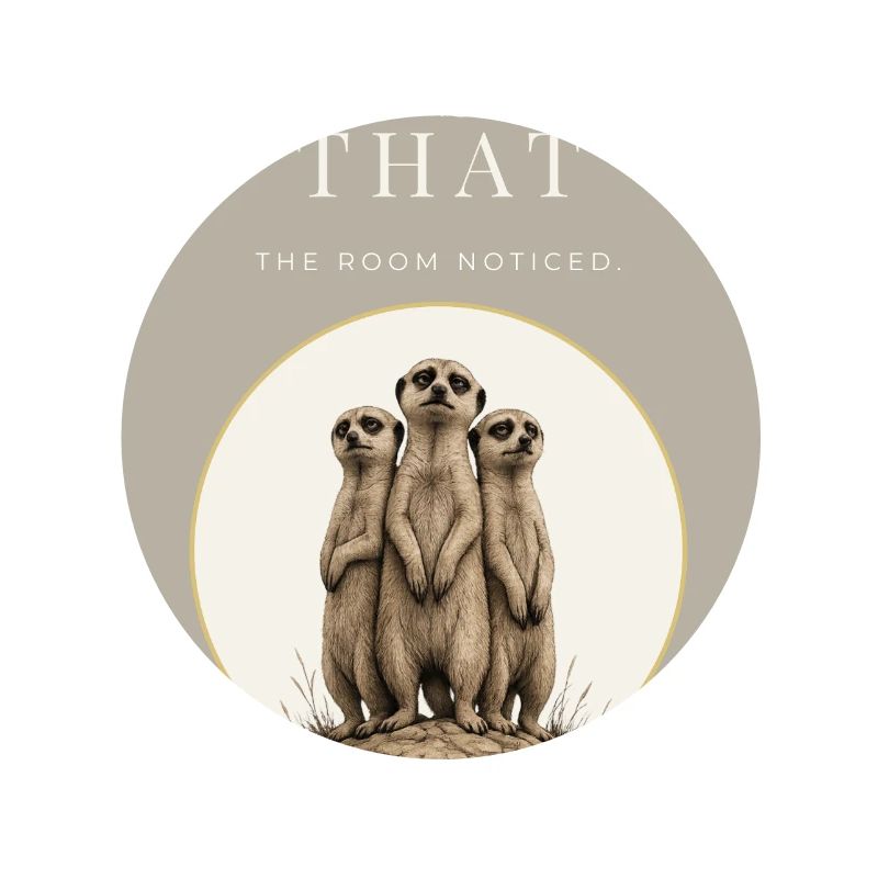 On a vu ce trio de suricates