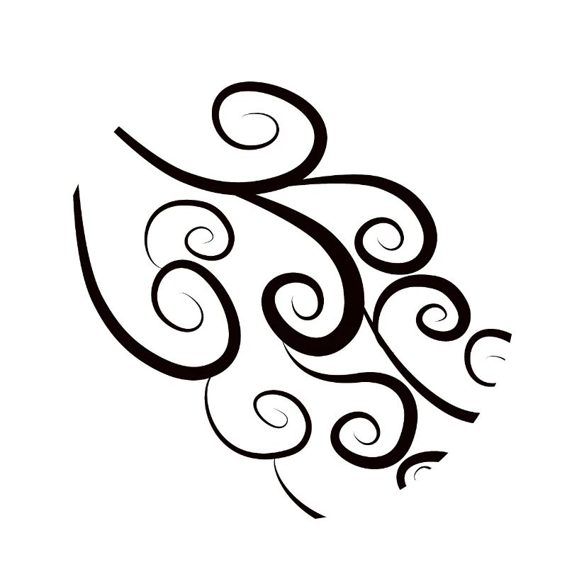 Pattern Spirals Black