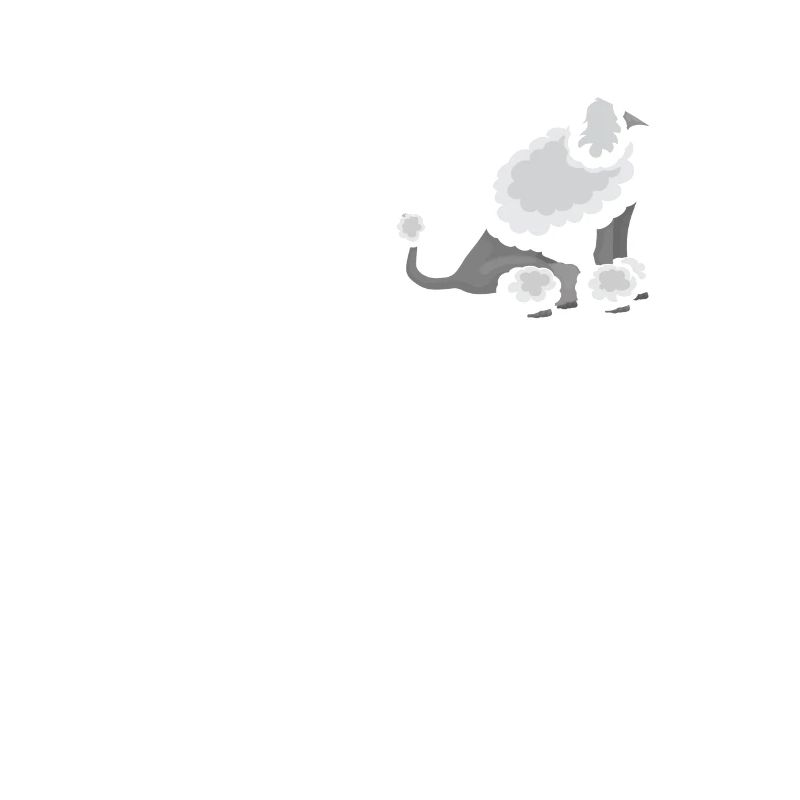 Caniche blanc, assis