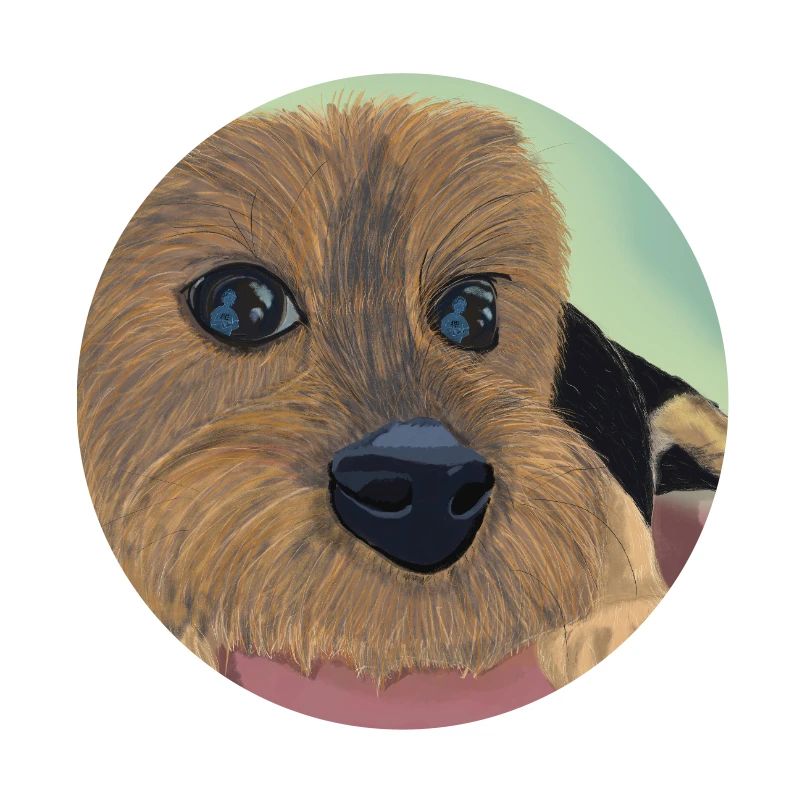 Hundeaugen oder Liebesreflex