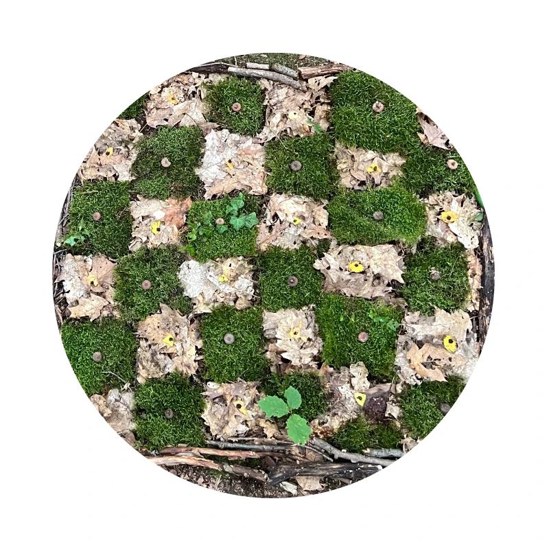 Forest Plants Pattern Design