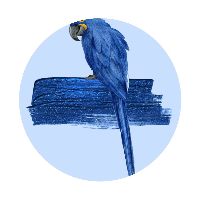 Blauer Papagei
