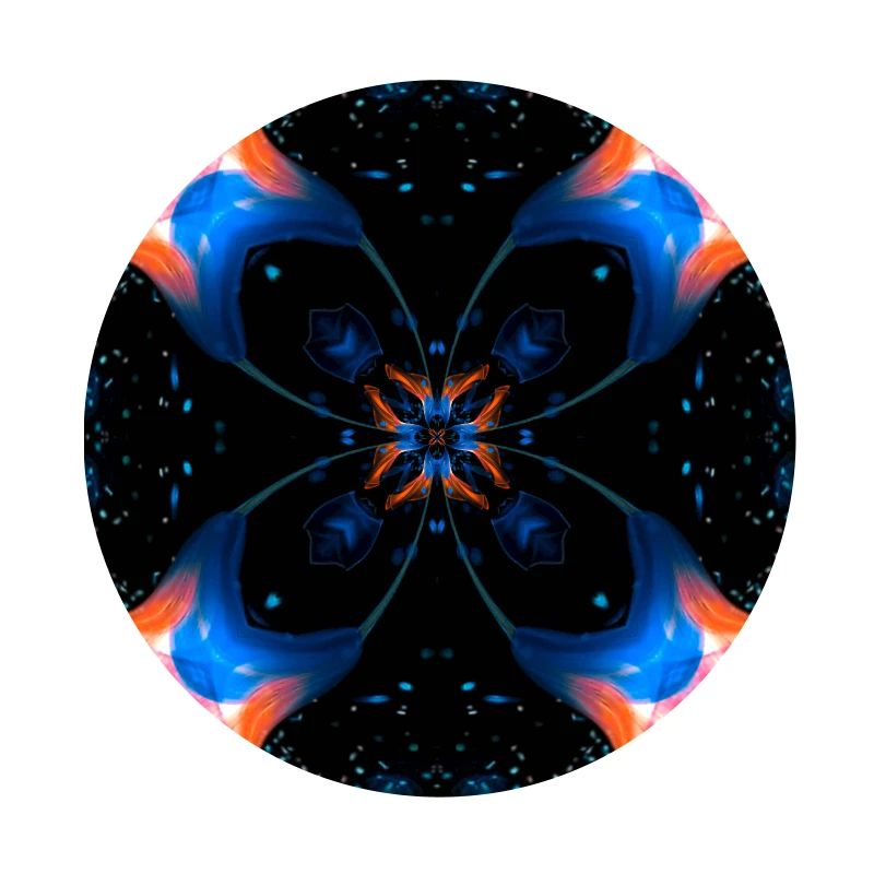 Fraktalkunst Digitale Blume