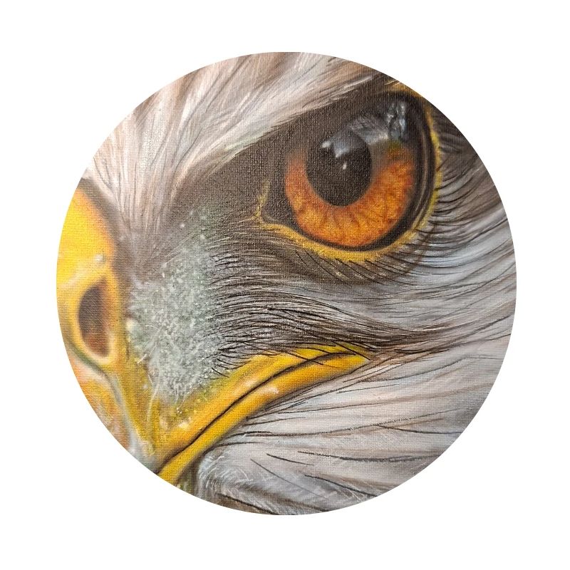 Œil d’aigle
