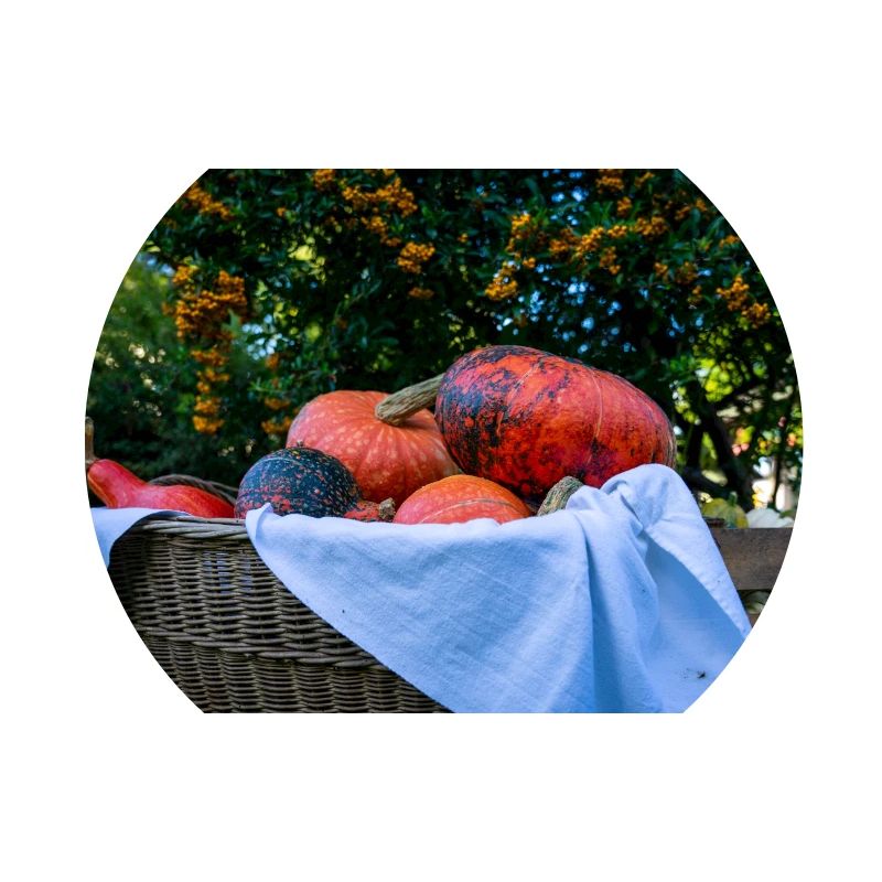 Panier de citrouille