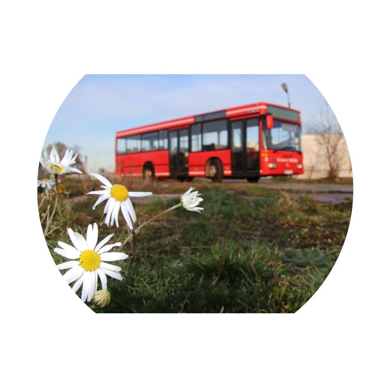 Miettes avec fleurs