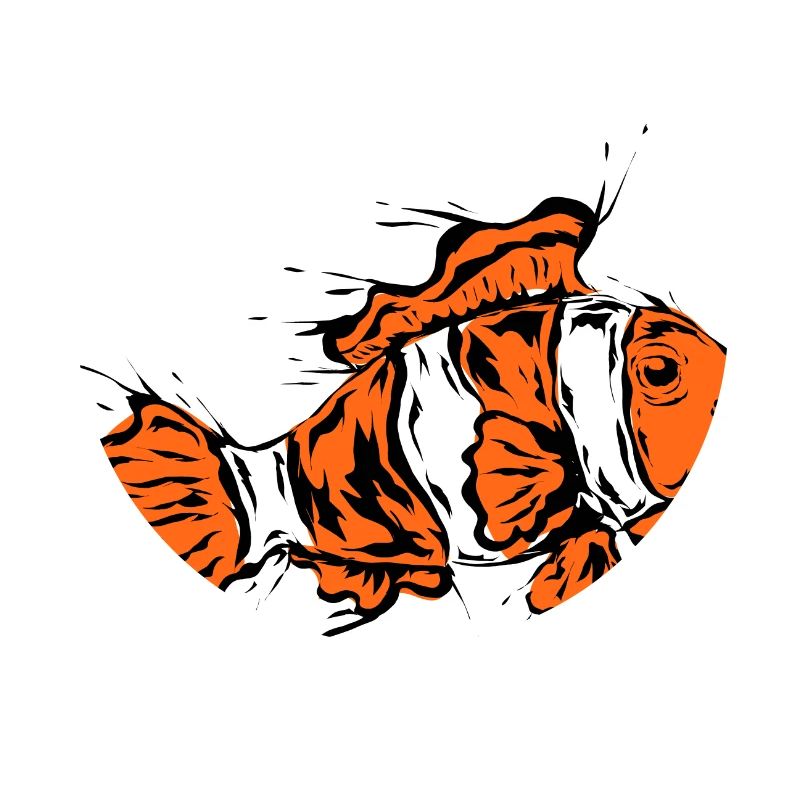 Clownfisch
