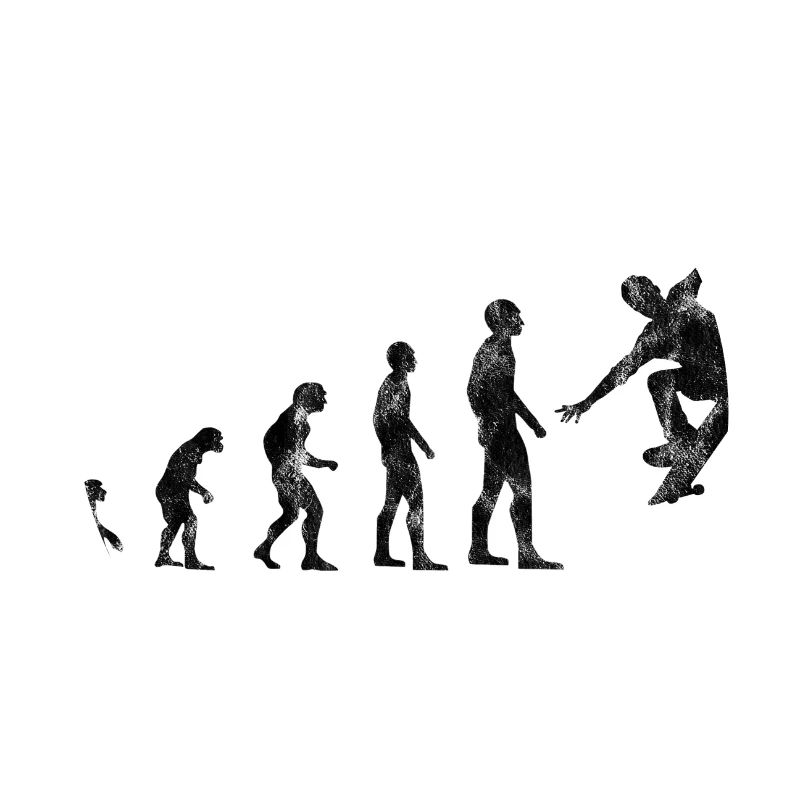 Skateboarder Skateboard Evolution Skate Skateing