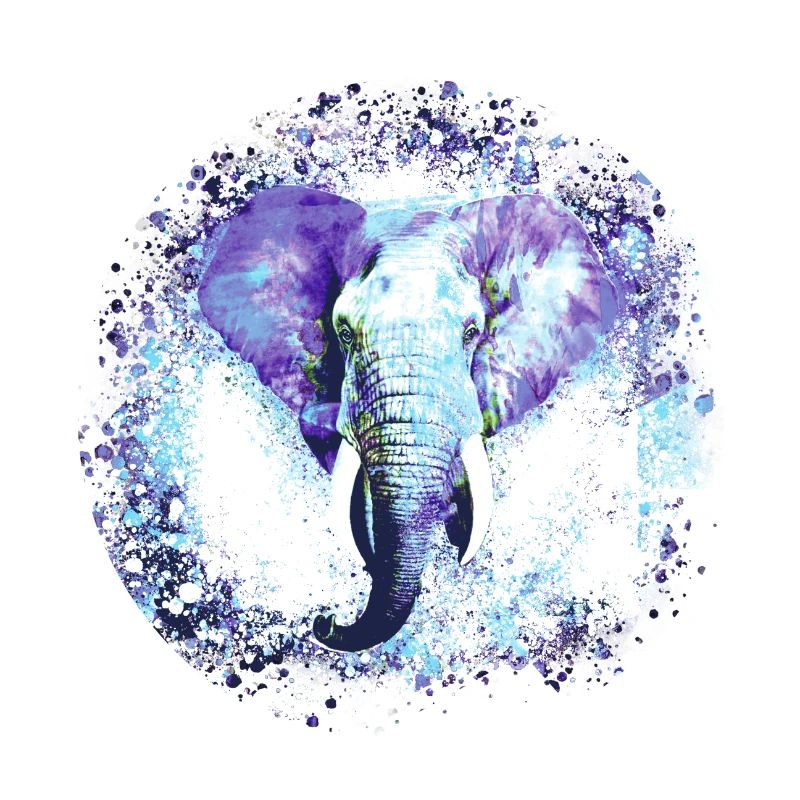Elefant, Graffiti, Malerei, blau,Wildnis