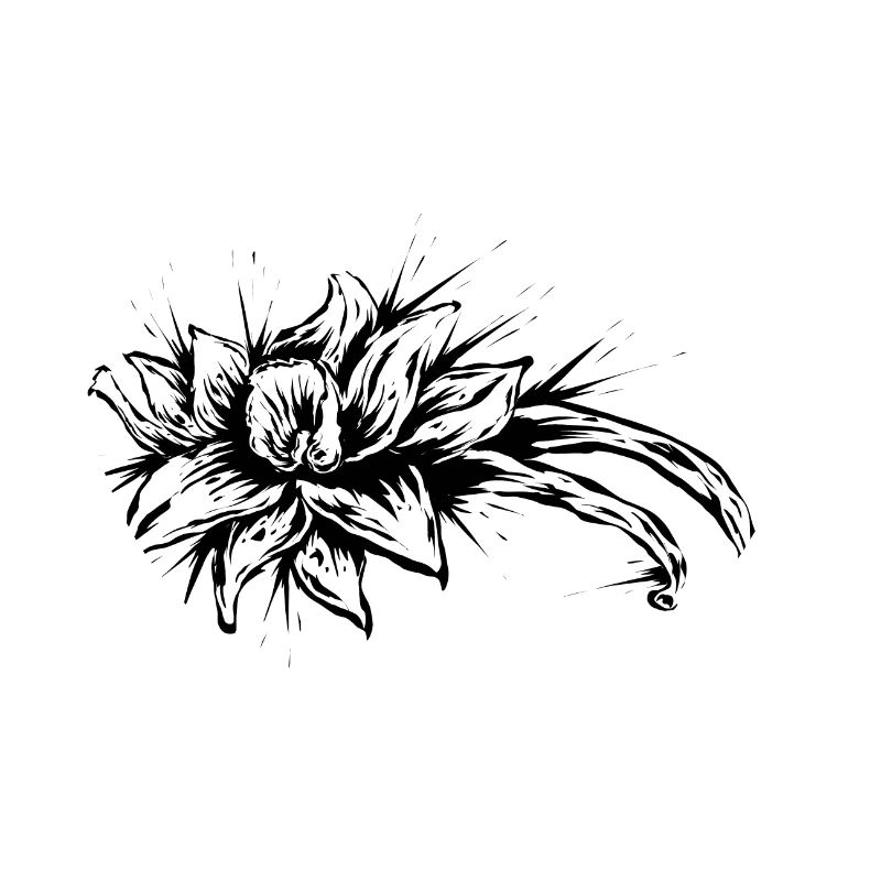 Fleur de vanille