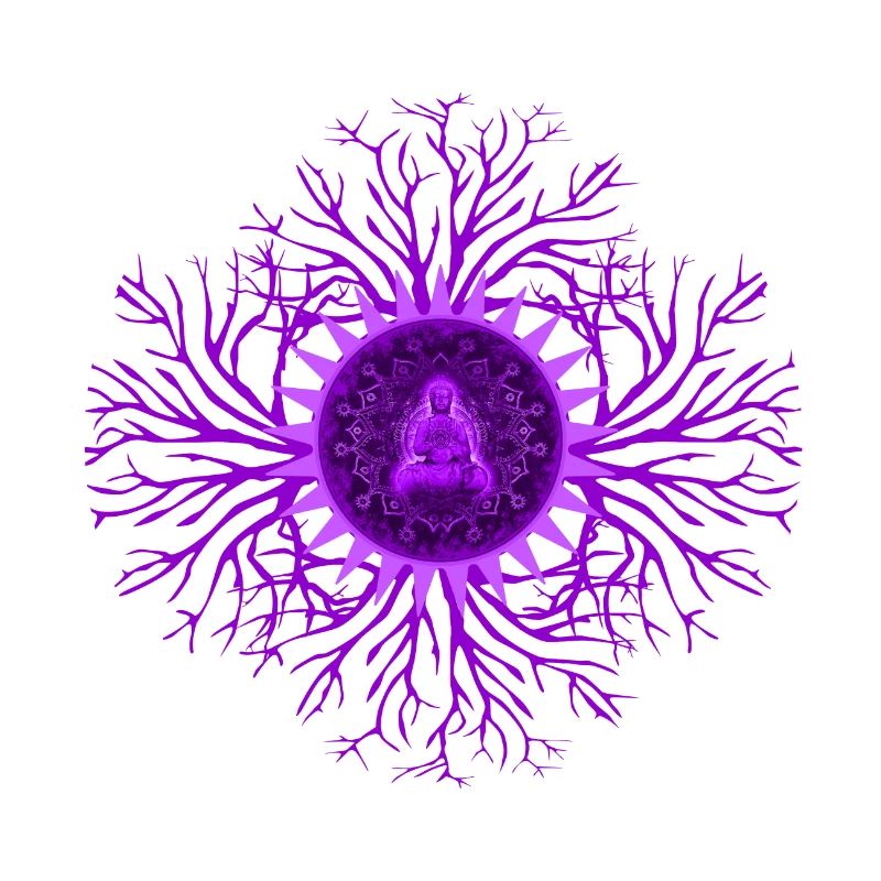 Crown Chakra Chakra