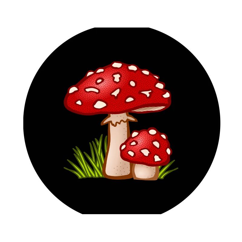 Champignons Champignons Champignons