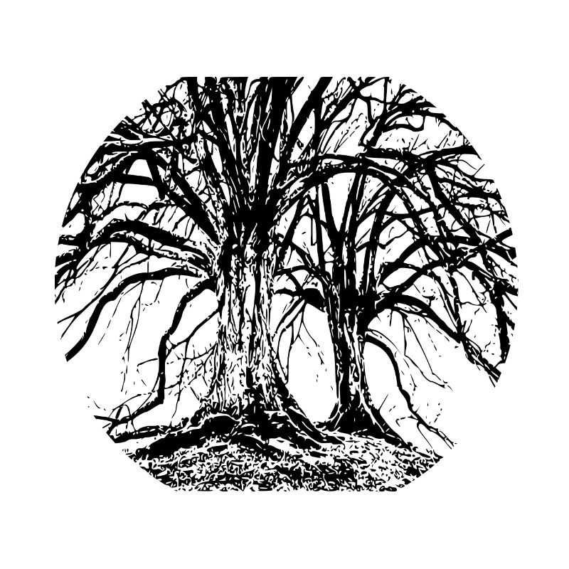 Trees