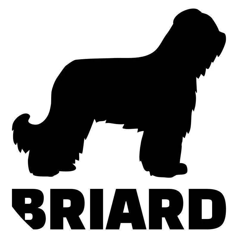 Briard
