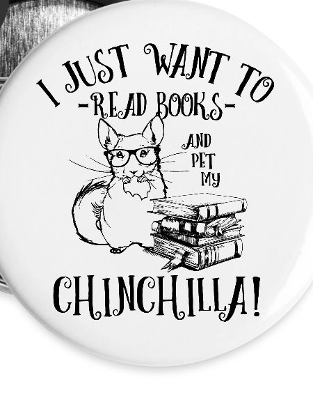 Chinchilla