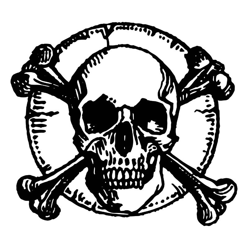 Skull Pirate