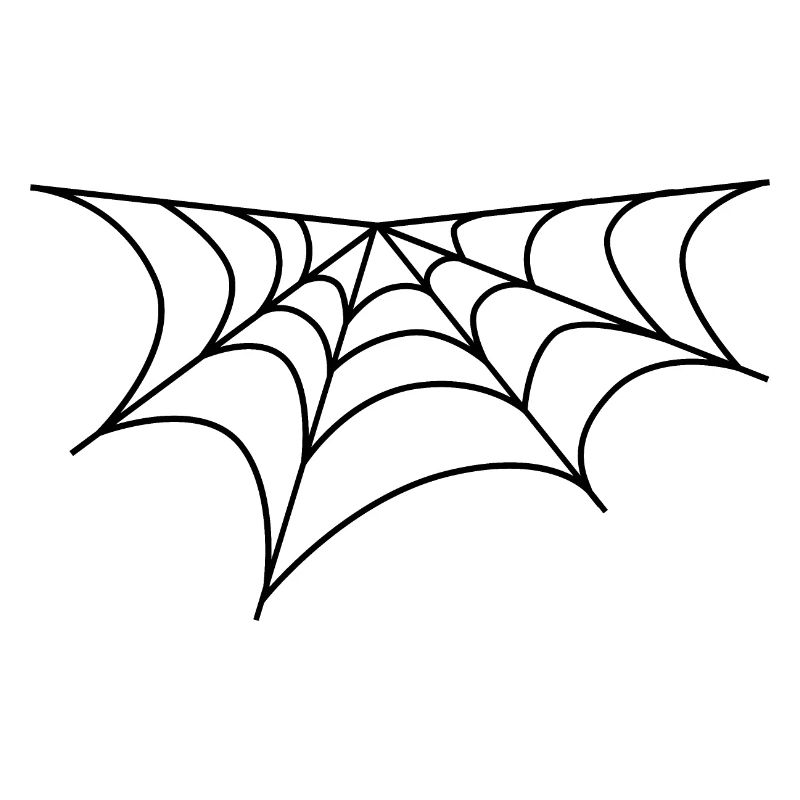 Spider web