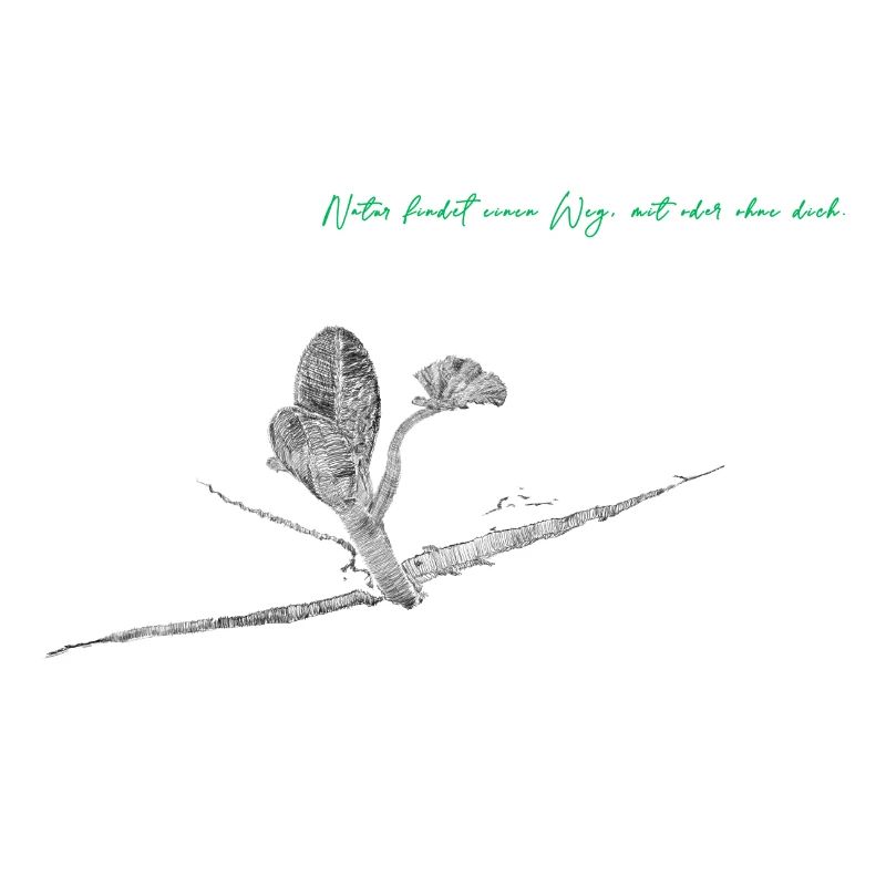 Natur findet einen Weg, mit oder ohne dich