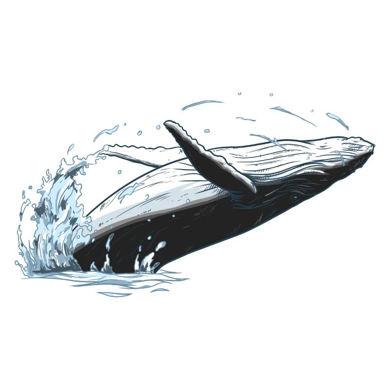 Buckelwal Springt aus dem Wasser