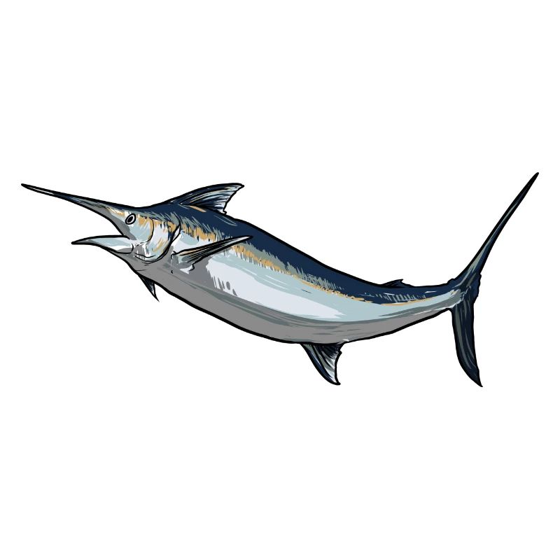Blauer Marlin Schwertfisch Fächerfisch