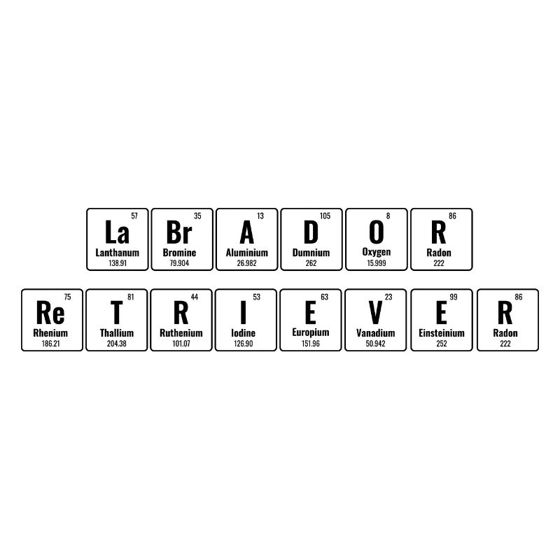 Periodisches System der Elemente Labrador Retriever La