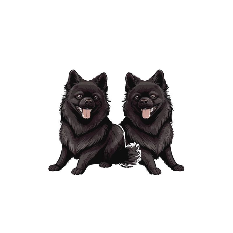 It doesn't stop if it's Schipperkes